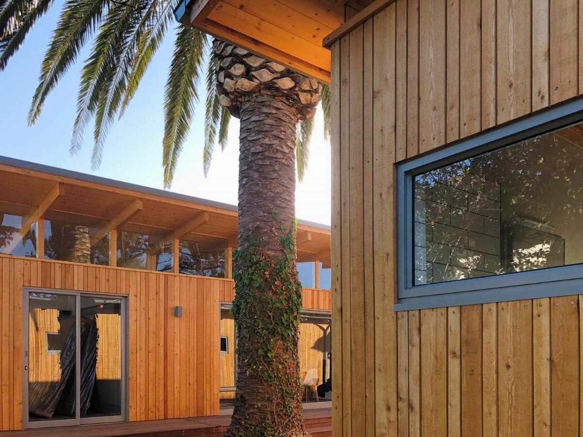 Palm And Pine Cottage Cape Town Dış mekan fotoğraf